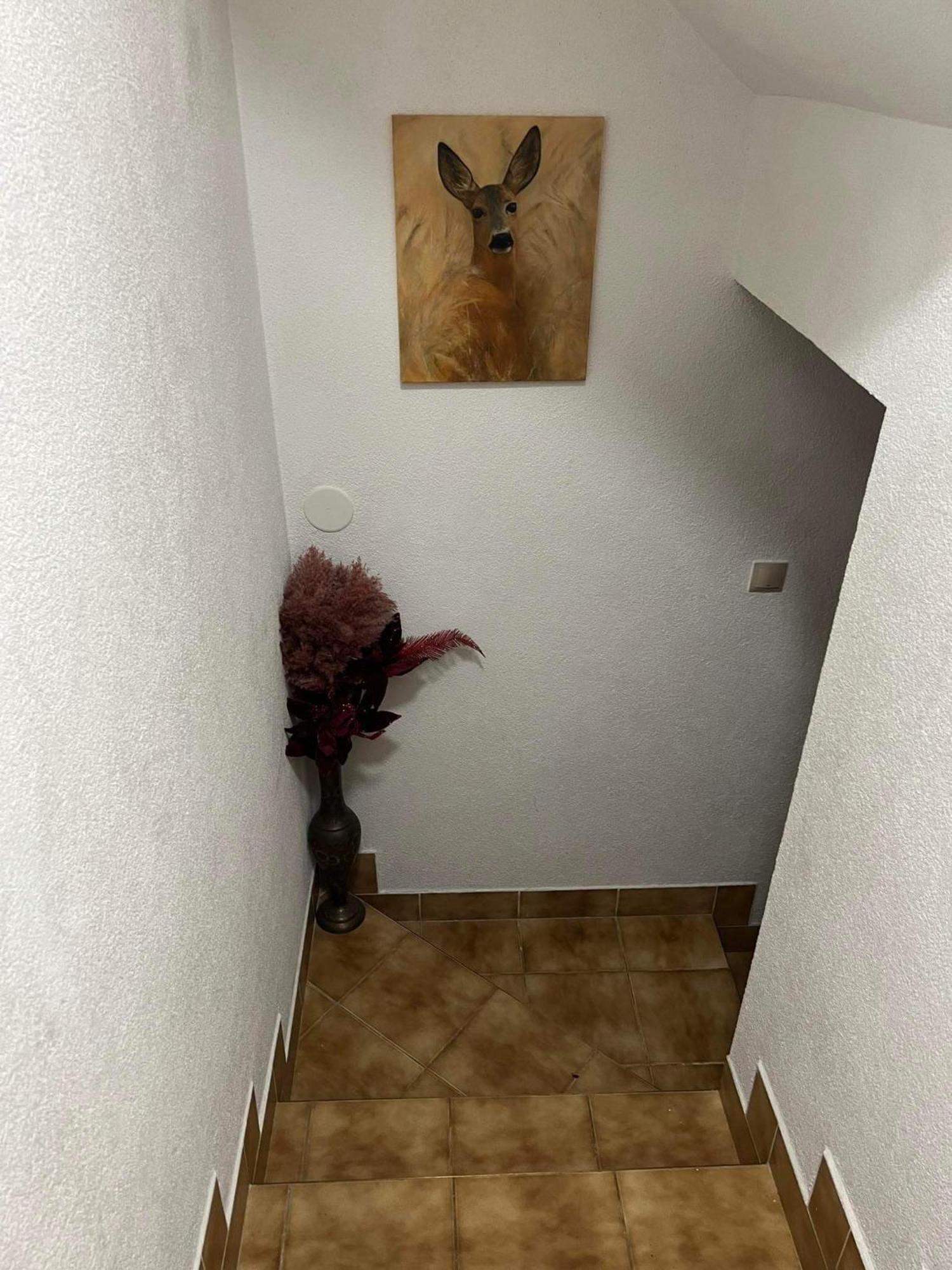 Privat Forest Liptovský Mikuláš エクステリア 写真