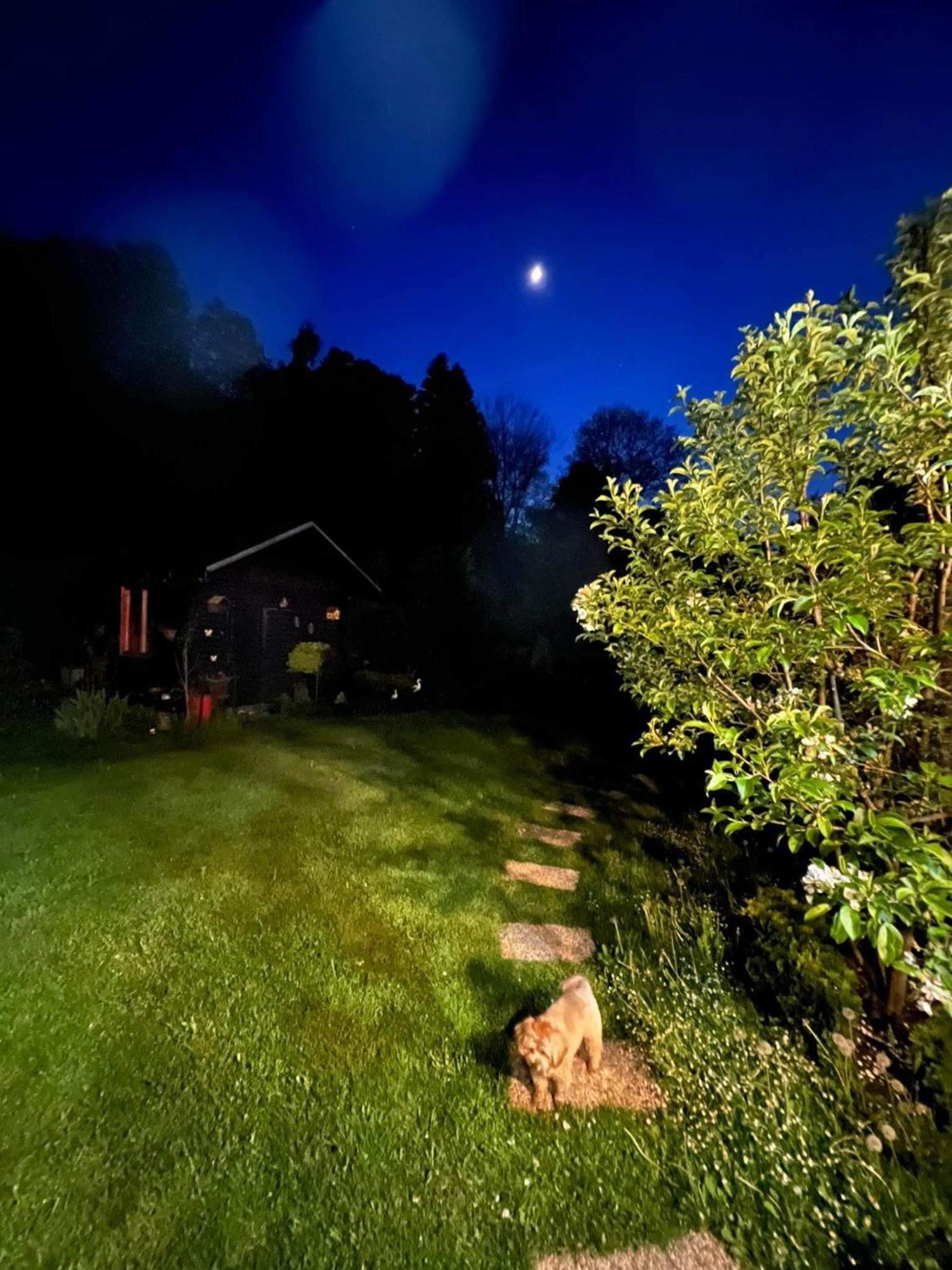 Privat Forest Liptovský Mikuláš エクステリア 写真